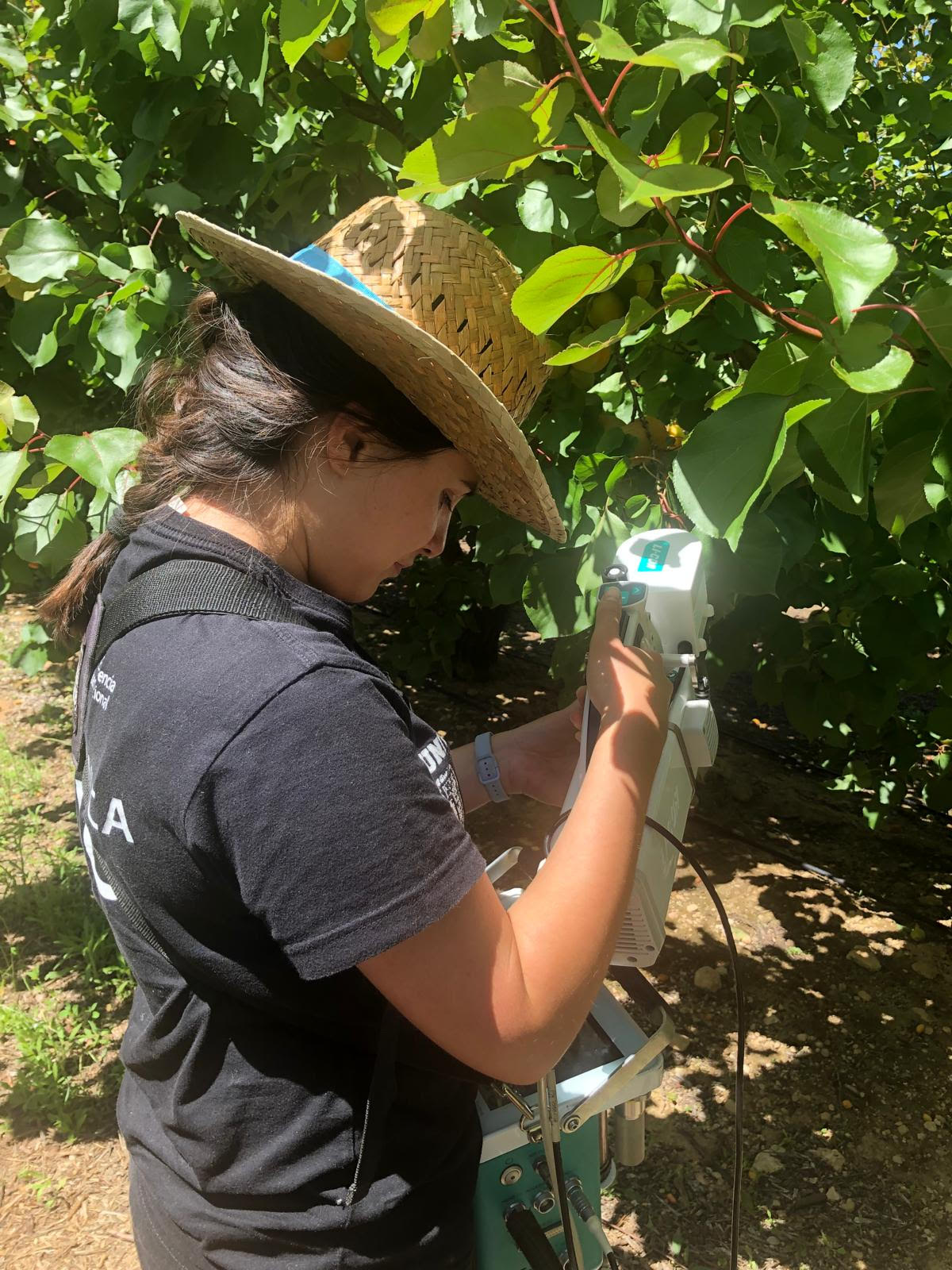 Marín Durán, Laura
