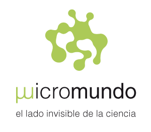 Exposición MicroMundo