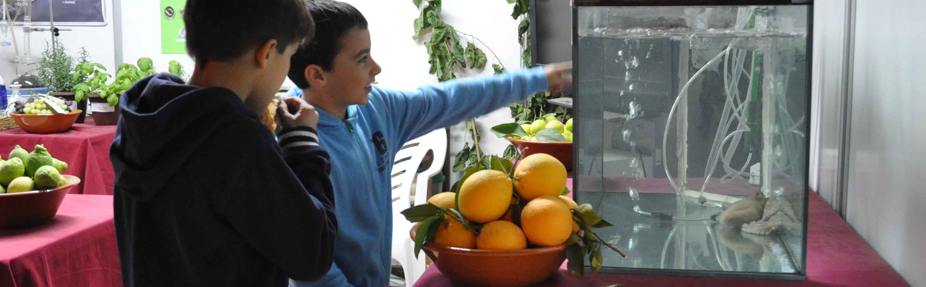 FOTO-BANER-12