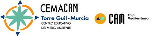 CEMACAM Torre Guil