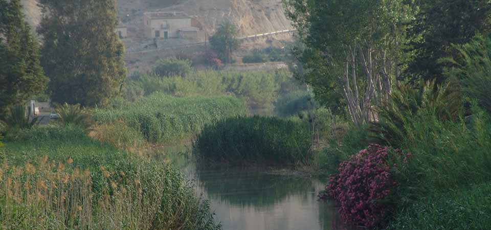 Villanueva del Rio Segura