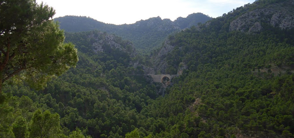 Panorámica Sierra de Ricote