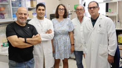 Vencen la  resistencia del  melanoma a la  inmunoterapia