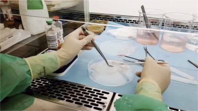 Un avance en terapia celular podría cambiar el tratamiento del pie diabético en la próx